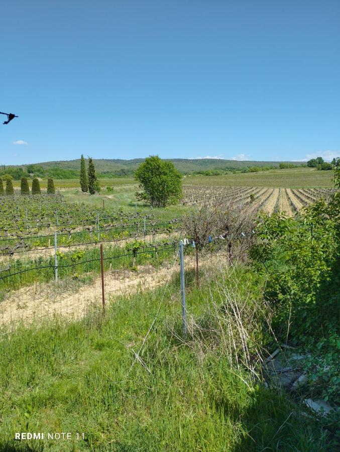 Chambre D Hotes En Provence, Au Pied Du Luberon, Les Coquelicots La Tour-d'Aigues Luaran gambar
